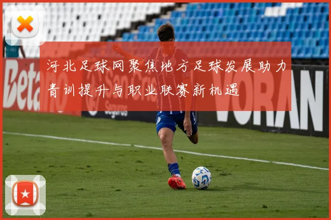 河北足球网聚焦地方足球发展助力青训提升与职业联赛新机遇