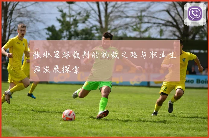 张琳篮球裁判的执裁之路与职业生涯发展探索