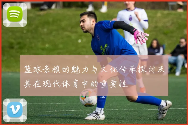 篮球条旗的魅力与文化传承探讨及其在现代体育中的重要性