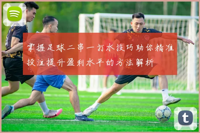 掌握足球二串一打水技巧助你精准投注提升盈利水平的方法解析