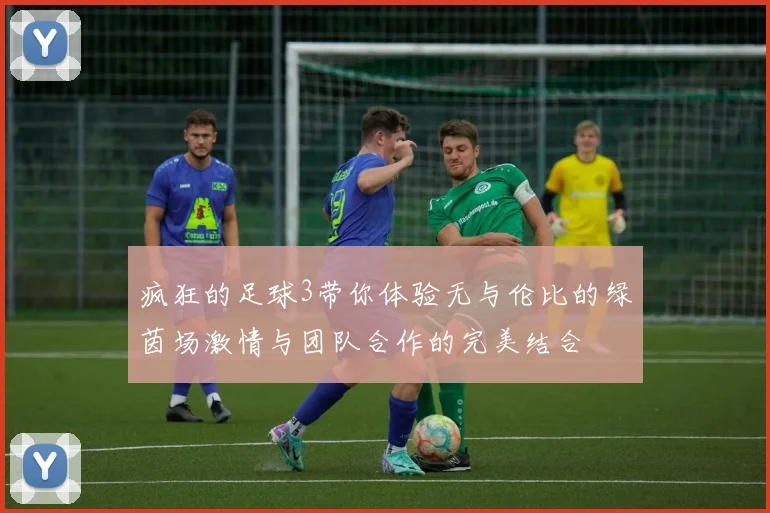 疯狂的足球3带你体验无与伦比的绿茵场激情与团队合作的完美结合