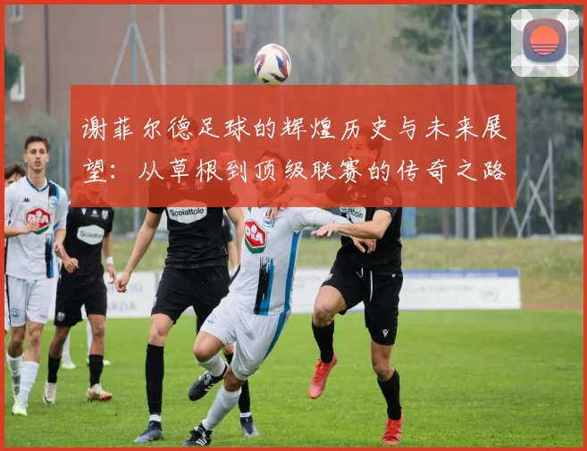 谢菲尔德足球的辉煌历史与未来展望：从草根到顶级联赛的传奇之路
