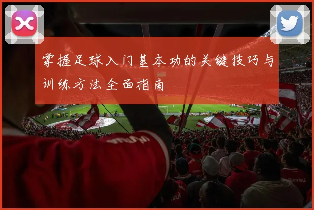 掌握足球入门基本功的关键技巧与训练方法全面指南