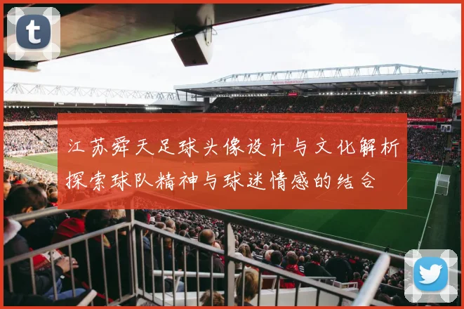 江苏舜天足球头像设计与文化解析探索球队精神与球迷情感的结合