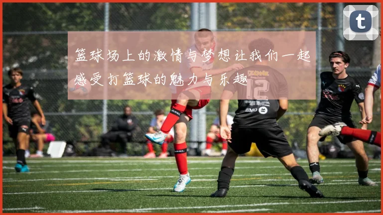 篮球场上的激情与梦想让我们一起感受打篮球的魅力与乐趣