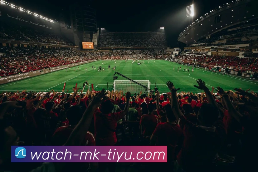 多媒体互动体验