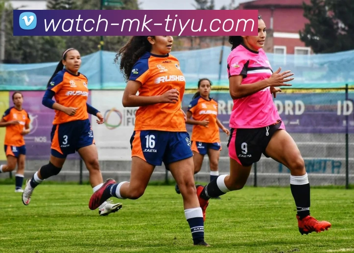 MK体育APP 高清赛事图